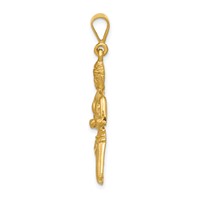 14K Yellow Gold Satin Diamond-cut Virgo Zodiac Charm view 2