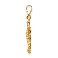 14K Yellow Gold Satin Diamond-cut Scorpio Zodiac Charm view 2
