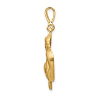 14K Yellow Gold Satin Diamond-cut Capricorn Zodiac Charm view 2