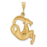 14K Yellow Gold Satin Diamond-cut Capricorn Zodiac Charm view 4