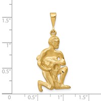 14K Yellow Gold Satin Diamond-cut Aquarius Zodiac Charm view 3