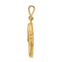 14K Yellow Gold Satin Diamond-cut Pisces Zodiac Charm view 2