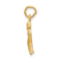 14K Yellow Gold Satin Diamond-cut Aries Zodiac Charm view 2