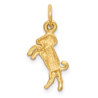 14K Yellow Gold Satin Diamond-cut Aries Zodiac Charm view 4