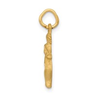 14K Yellow Gold Satin Diamond-cut Gemini Zodiac Charm view 2
