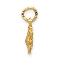 14K Satin Diamond-cut Cancer Zodiac Charm view 2