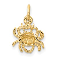 14K Satin Diamond-cut Cancer Zodiac Charm view 3