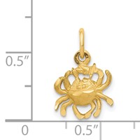 14K Satin Diamond-cut Cancer Zodiac Charm view 4