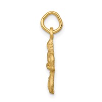 14K Yellow Gold Satin Diamond-cut Virgo Zodiac Charm view 2