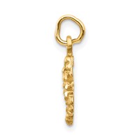 14K Yellow Gold Satin Diamond-cut Scorpio Zodiac Charm view 2