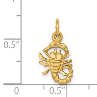 14K Yellow Gold Satin Diamond-cut Scorpio Zodiac Charm view 3
