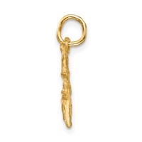 14K Yellow Gold Satin Diamond-cut Sagittarius Zodiac Charm view 2