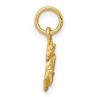 14K Satin Diamond-cut Capricorn Zodiac Charm view 2
