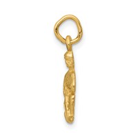 14K Yellow Gold Satin Diamond-cut Aquarius Zodiac Charm view 2