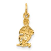 14K Yellow Gold Satin Diamond-cut Aquarius Zodiac Charm view 3