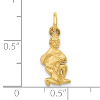 14K Yellow Gold Satin Diamond-cut Aquarius Zodiac Charm view 4