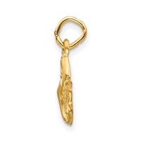 14K Satin Diamond-cut Pisces Zodiac Charm view 2