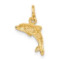 14K Yellow Gold Dolphin Charm view 3