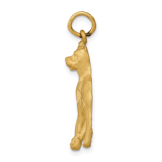 14k Satin Diamond-cut Boxer Dog Charm