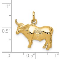 14K Yellow Gold Steer Pendant view 3