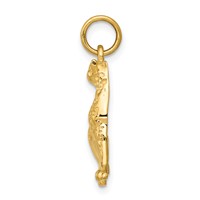 14K Yellow Gold Cheetah Charm view 2