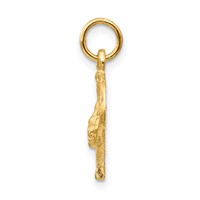 14K Yellow Gold Satin Diamond-cut Horse Head in Horseshoe Charm view 2
