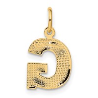 14K Yellow Gold Satin Diamond-cut Letter G Initial Charm view 3