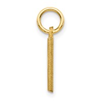 14K Yellow Gold Satin Diamond-cut Letter H Initial Charm view 2