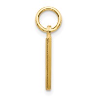 14K Yellow Gold Satin Diamond-cut Letter M Initial Charm view 2