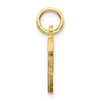 14K Yellow Gold Satin Diamond-cut Letter P Initial Charm view 2