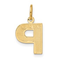 14K Yellow Gold Satin Diamond-cut Letter P Initial Charm view 3