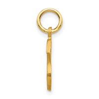 14K Yellow Gold Satin Diamond-cut Letter S Initial Charm view 2