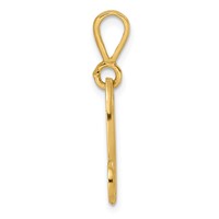 14K Yellow Gold Polished Script Filigree Letter N Initial Pendant view 2