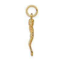 14K Yellow Gold Corpus Charm view 2