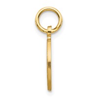 14K Yellow Gold Solid Polished Star of David in Circle Charm view 2