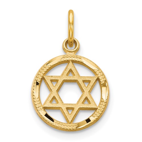 14K Yellow Gold Solid Polished Star of David in Circle Charm