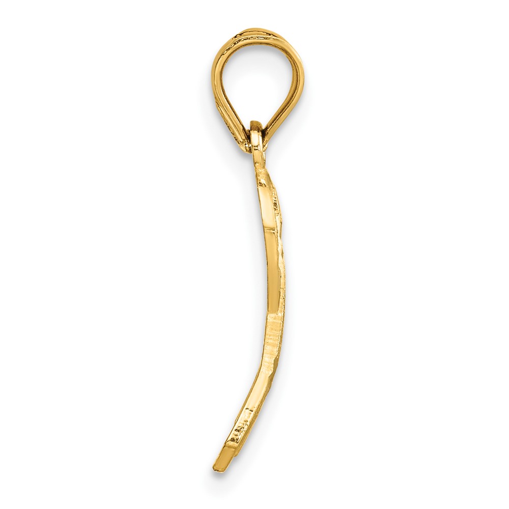 14k Diamond-cut Awareness Pendant (C904)