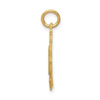 14K 25 in Oval Pendant view 2