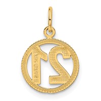 14K Yellow Gold Circle Pendant - 21in view 3