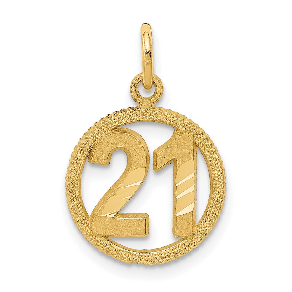14K Yellow Gold Circle Pendant - 21in