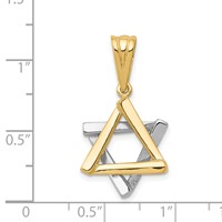 14K Two-tone Star of David Pendant view 3