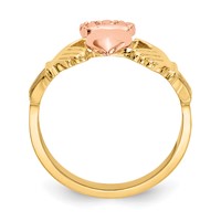 14K Two-tone Polished Claddagh Ring view 2