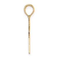 14K Yellow Gold RN Registered Nurse Charm view 2