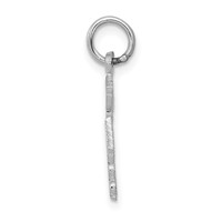 14K White Gold RN Registered Nurse Charm view 2