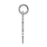 14K White Gold RN Registered Nurse Textured Back Disc Charm view 2