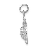 14K White Gold Solid Polished Open-Backed Turtle Charm view 2