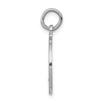 14K White Gold Satin and Polished Communion Round Disc Charm view 2