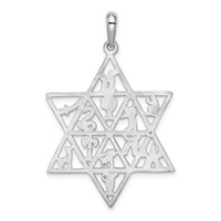 14K White Gold 12 Tribes Star of David Pendant view 4