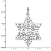 14K White Gold 12 Tribes Star of David Pendant view 3