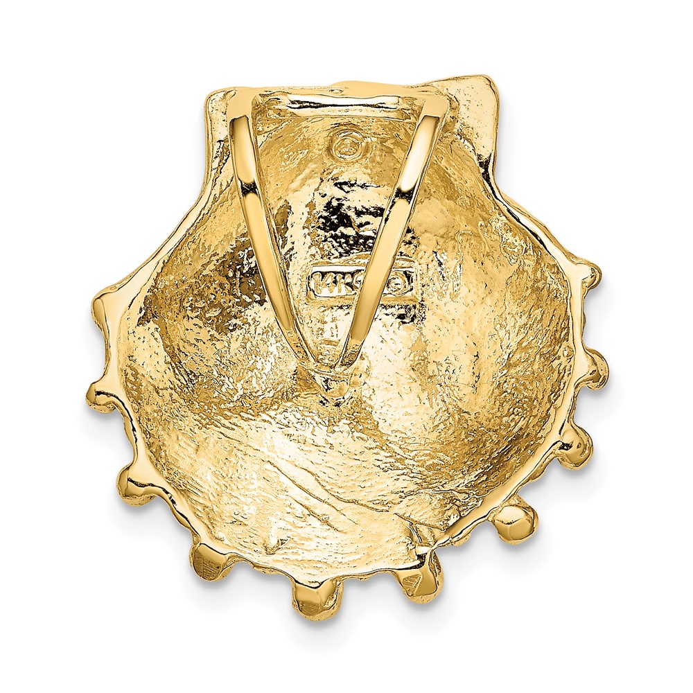 14k Small Lion's Paw Shell Slide (D2860)